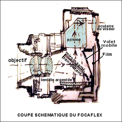 136_coupe_focaflex.jpg