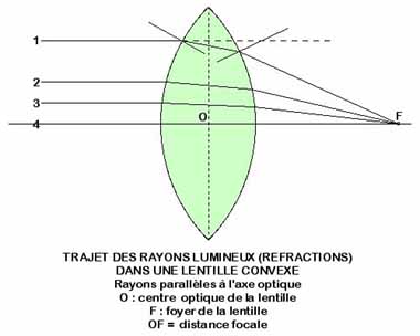 Lentille 1