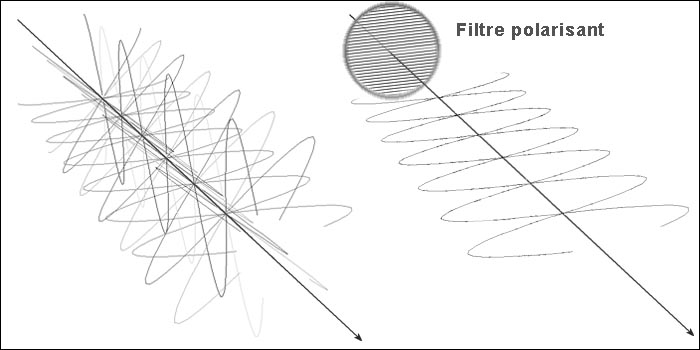 lumière polarisée