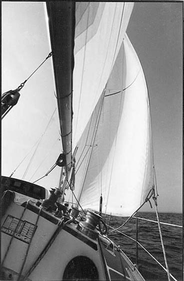  - Le génois