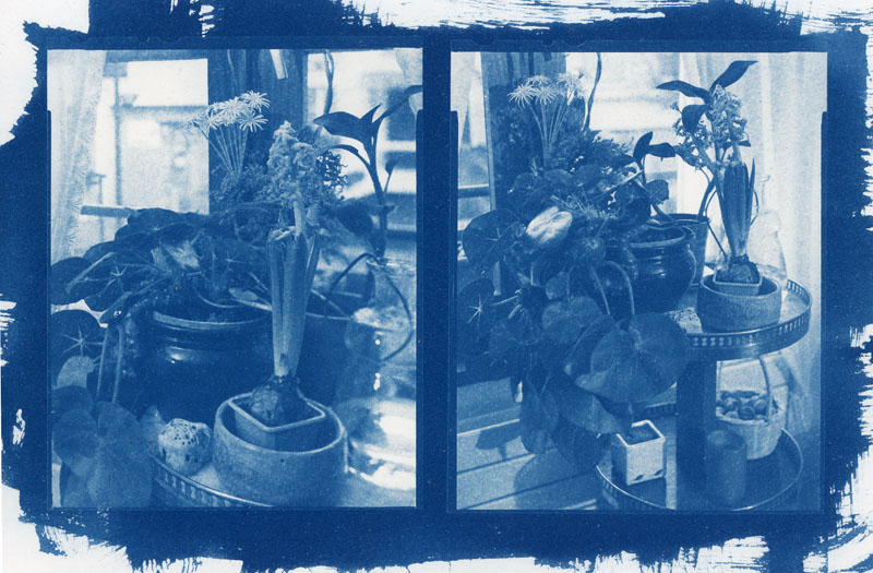  - Nature morte, diptyque