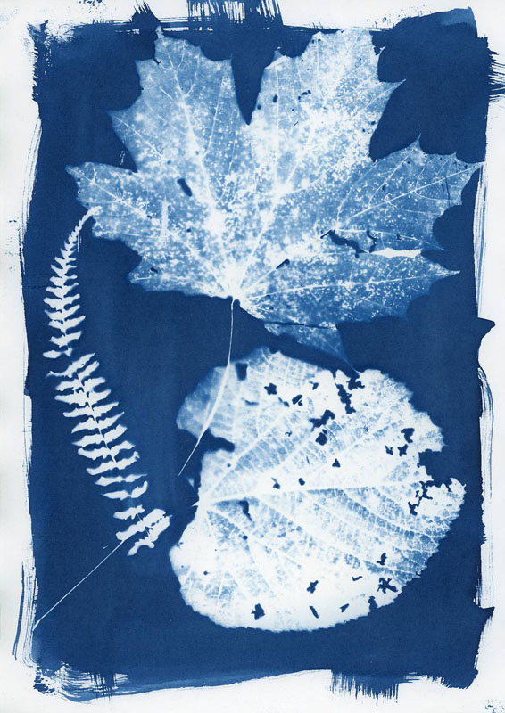  - Photogramme n°02