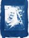 Portrait 01 cyanotype