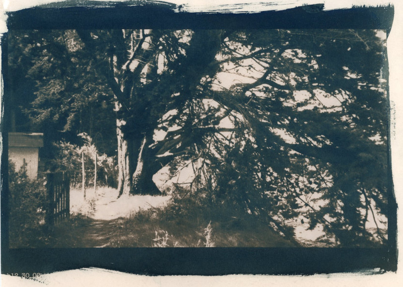 cyanotype Oleron