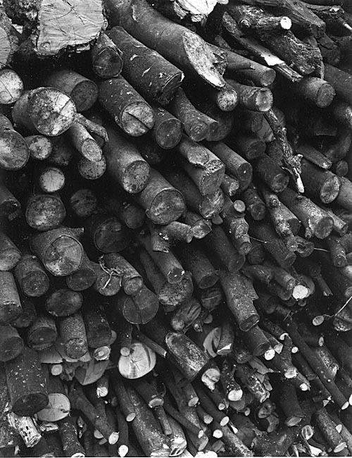  - Tas de bois