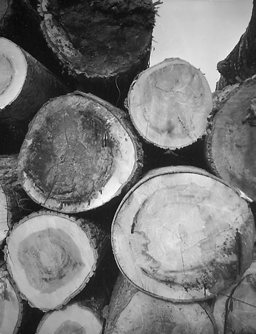  - Grumes 2