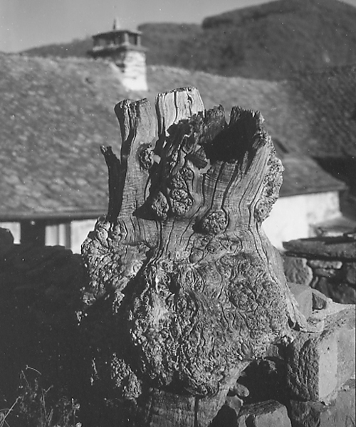  - Sculpture naturelle