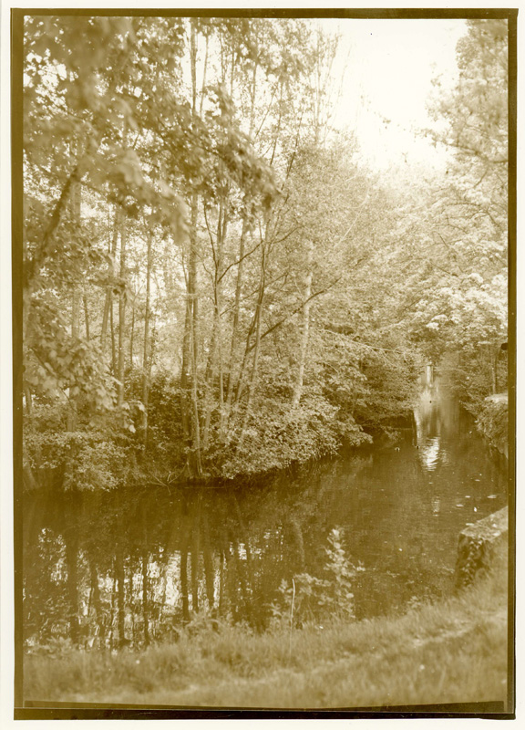  - Au bord de la Vivonne