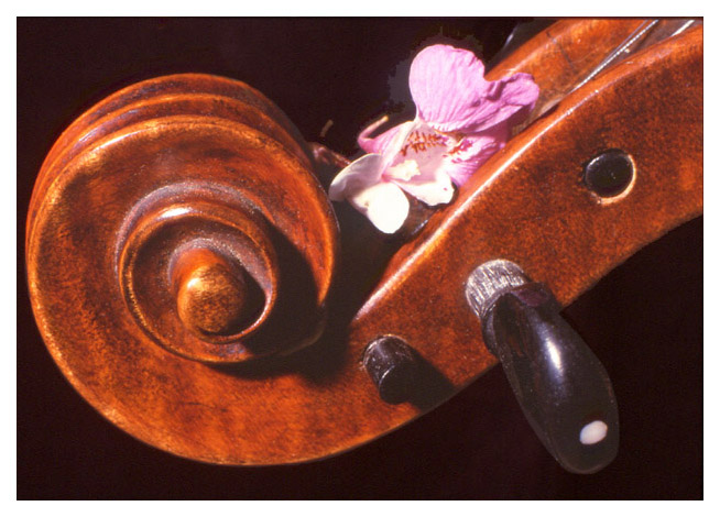  - Première volute