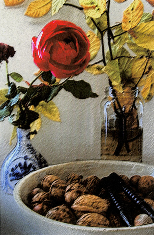  - Rose d'automne