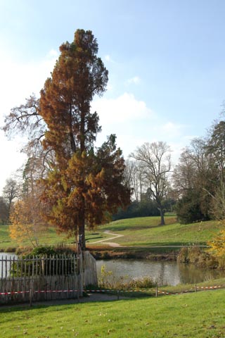  - Versailles 1