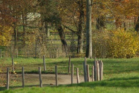  - Versailles 3