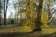 Versailles 4