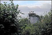 Nid de cigognes dscn3036