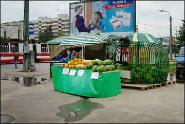 Marchand de fruits photo 3837