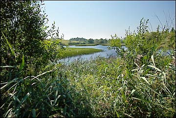 Paysage 2 photo 3928