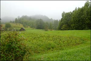 Brume matinale photo 4025