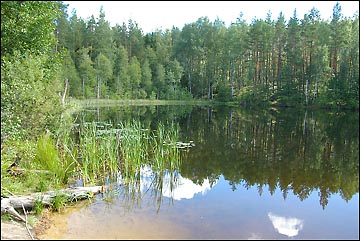 Paysage 3 photo 4054