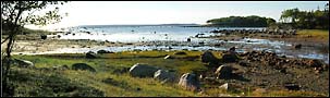 sur le rivage pano4293
