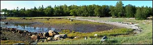 sur le rivage pano4296